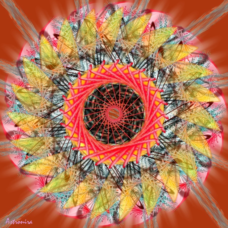 «Mandala New»