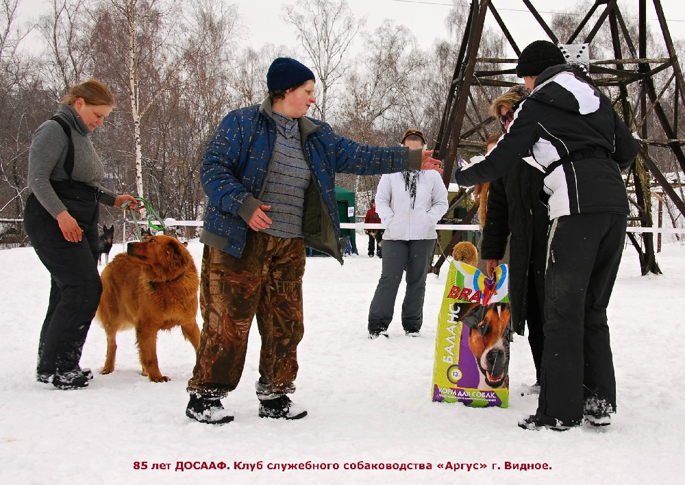 «Без названия»