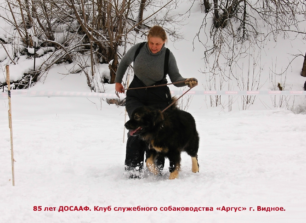 «Без названия»