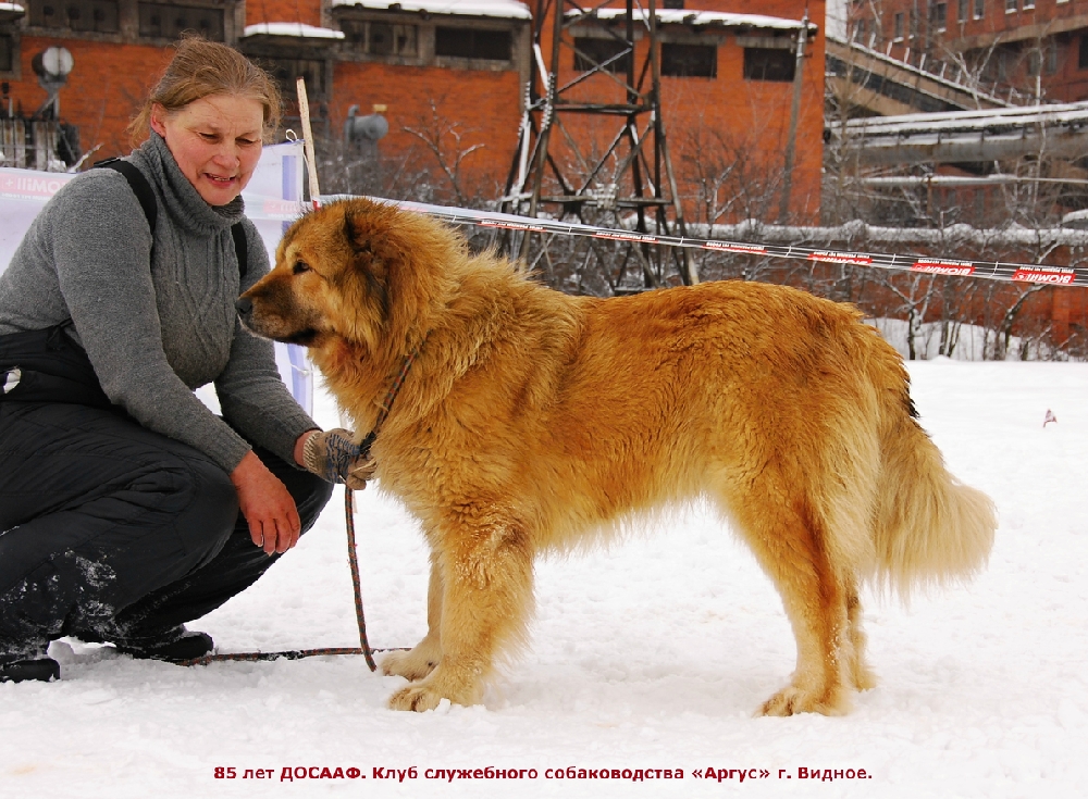 «Без названия»