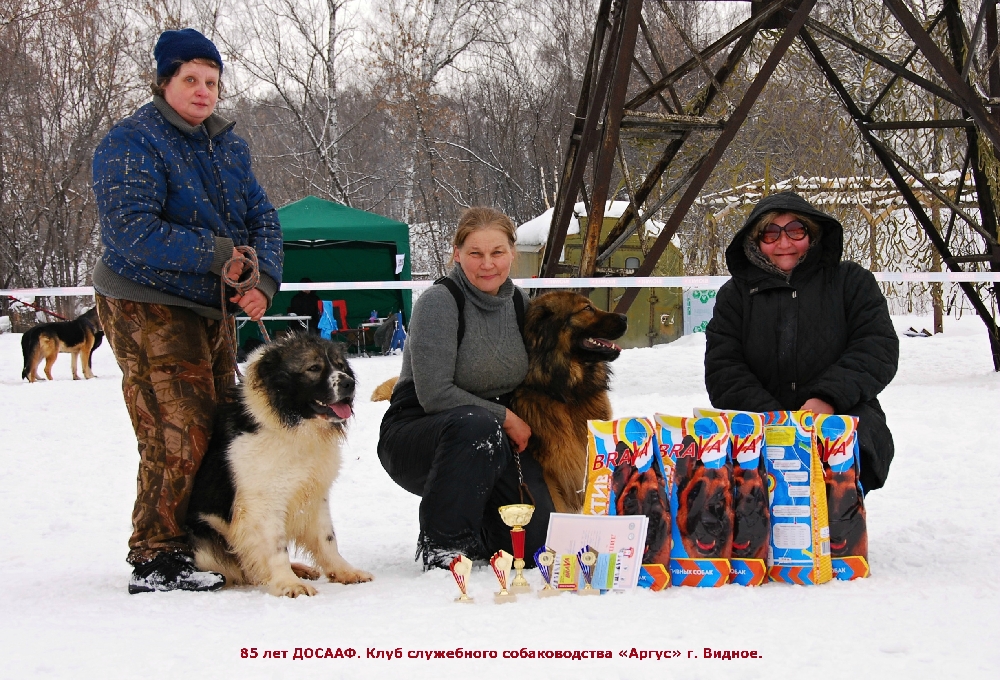 «Без названия»