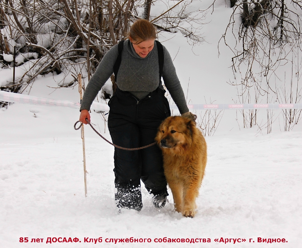 «Без названия»