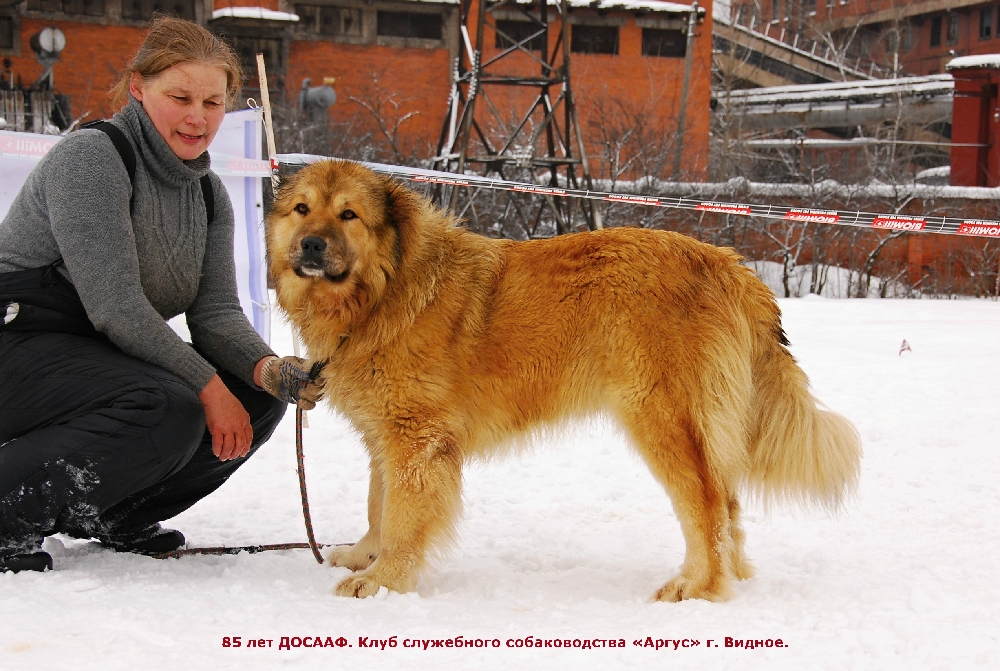 «Без названия»