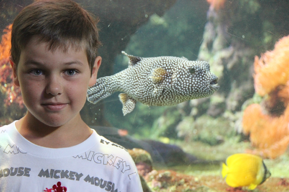 Мальчик с рыбкой. Мальчик с рыбой. Рыбы фото. Мальчишка рыба. Ребенок рыбы мальчик